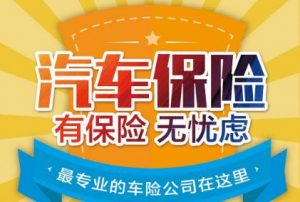 政府采购中心机动车辆保险投标书范本