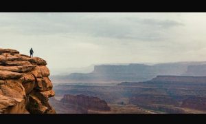 供应商提供虚假材料是招标文件没有要求的资料该如何处理？